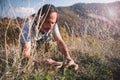 Man on the side of a mountain collects medicinal aromatic herbs. Royalty Free Stock Photo