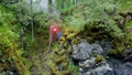 Man with signal fire in nature. Stock footage. Top view of lost traveler in forest and in despair he lit red smoke bomb