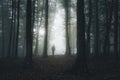 Man silhouette in dark spooky forest on Halloween Royalty Free Stock Photo