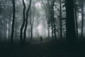 Man silhouette on Halloween night in dark mysterious forest with fog Royalty Free Stock Photo