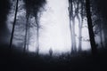 Man silhouette in scary dark haunted forest with fog Royalty Free Stock Photo