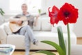 Man singing and playing guitar while sitting on a couch in a bright living room at home Royalty Free Stock Photo