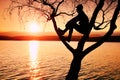 Man sit on tree. Silhouette of lone boy with baseball cap on branch of birch tree on beach Royalty Free Stock Photo