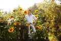 Man sits on fence near sunflowers Royalty Free Stock Photo