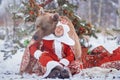 Man sits near brown bear