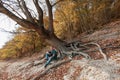 Man sits under a tilted tree in autumn