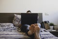 Man is sitting in bed behind his laptop. Young man using laptop computer for working at home. Single man in casual wear and naked Royalty Free Stock Photo