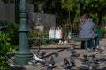 Man sitting on a bench, surrounded by pigeons Royalty Free Stock Photo