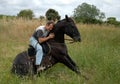 Man and sitting horse Royalty Free Stock Photo