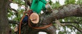 Man sitting on a large tree branch while using a chainsaw Royalty Free Stock Photo