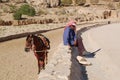 Man sitting near a mule