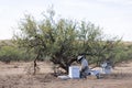 a man sitting next to a pile of beehive next to a tree