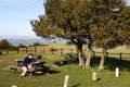 Man sitting at picnic table using laptop Royalty Free Stock Photo