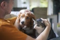 Pet owner stroking his old cat and dog together Royalty Free Stock Photo