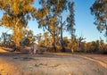Man sitting on a stump in quiet contemplation looking at a campfire on a river bank in the Australian outback