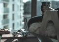 Man sitting at the window with coffee mug and lorgnette.