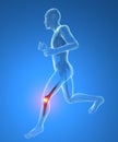 Man, skeleton, running, knee pain inflammation Royalty Free Stock Photo