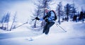 Man skiing in powder snow in a snowy woods. Royalty Free Stock Photo