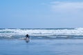 Man skim boarding on longbeach Royalty Free Stock Photo