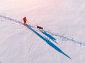 Man on skis walks harness sled dog in winter through snow trail. Concept active leisure. Aerial top view