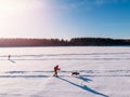 Man on skis walks harness sled dog in winter through snow trail. Concept active leisure. Aerial top view Royalty Free Stock Photo