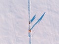 Man on skis walks harness sled dog in winter through snow trail. Concept active leisure. Aerial top view Royalty Free Stock Photo