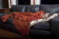 Man sleeping on couch Royalty Free Stock Photo