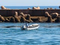 Man In Small Boat At Ilha De Baretta Portugal Royalty Free Stock Photo