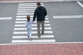 A man and a small child on a zebra crossing trespassing by crossing the street. In the summer on the street kid girl with her