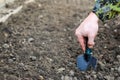 a man with a small shovel is digging in the garden. sow seeds in the garden. a man`s hand with a shovel Royalty Free Stock Photo