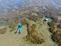 Man snorkeling in coral reef in tropical transparent sea Royalty Free Stock Photo