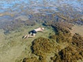 Man snorkeling in coral reef in tropical transparent sea Royalty Free Stock Photo