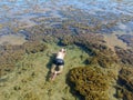 Man snorkeling in coral reef in tropical transparent sea Royalty Free Stock Photo