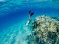 Man snorkeling and freediving near the coral reef edge in Red Sea Royalty Free Stock Photo