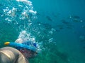 A man snorkling under the water with bubbles and lot of fish