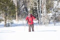 Man Snowshoeing in the Forest Royalty Free Stock Photo