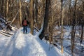 A Man Snowshoes on a Forest Trail