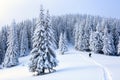 The man on the snowy lawn. Royalty Free Stock Photo