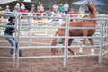 Horsewoman Training Horse at Festival