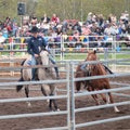 Horsewoman Training Horse at Festival