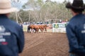 Man From Snowy River Trainers Challenge Contestants