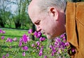 Man snuffing a flower. Royalty Free Stock Photo