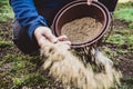 Man sowing lawn seed to the withered lawn