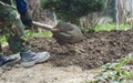 Man with spade in dirt, farmer working Royalty Free Stock Photo