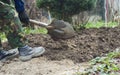 Man with spade in dirt, farmer working