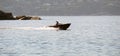 Man in a speed boat over the sea