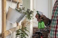 Man is spraying balcony greenery from a bottle with a hand-pumped sprayer.