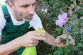 man spraying flowers in garden