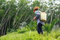 A man is spraying herbicide