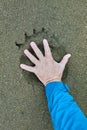 Man spreading his and inside a bear print